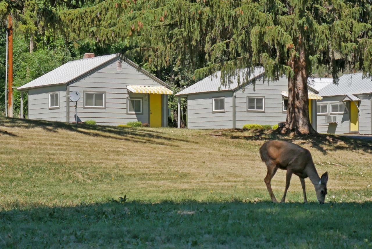 Idle A While Cabins Twisp Esterno foto